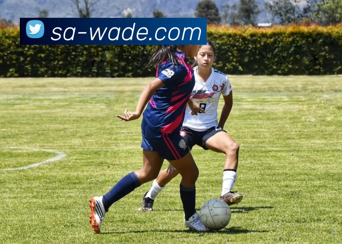 韦德体育APP 高清赛事图